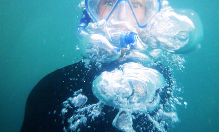 Snorkelling on Coastal Explorer Days